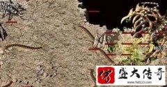 ������͵�ʿ���صı�������